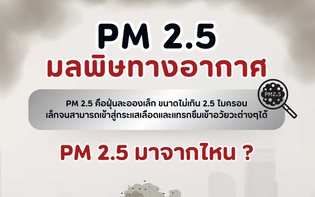 PM 2.5 คืออะไร